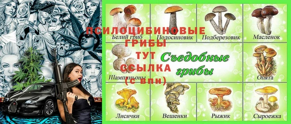 меф Елабуга