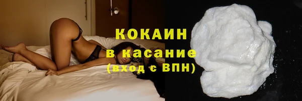 твердый Дмитриев