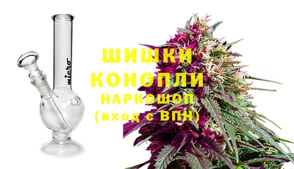 твердый Дмитров