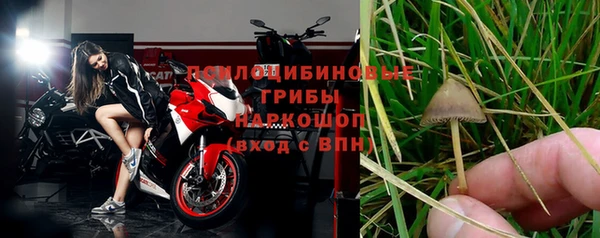 тгк Дмитровск