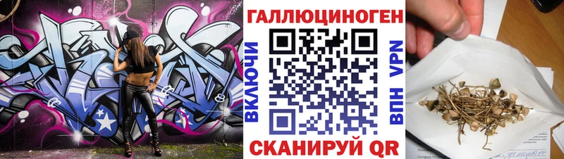 Псилоцибиновые грибы мицелий  Зима 