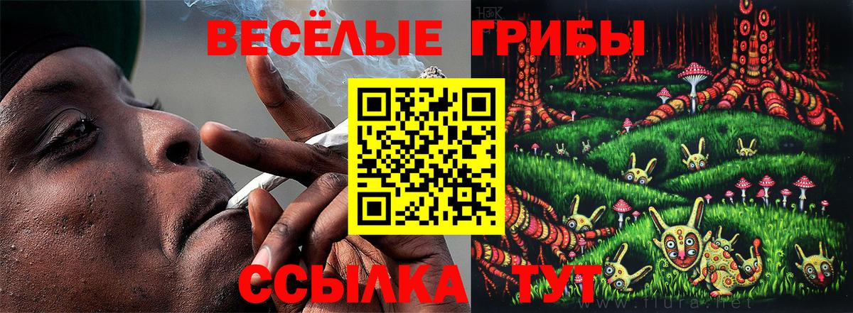 Псилоцибиновые грибы Magic Shrooms  Вход с VPN  Зима 
