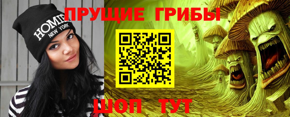 Псилоцибиновые грибы ЛСД Зима
